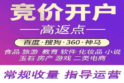 竞价推广公司的策略布局：某行业领导品牌的成功案例